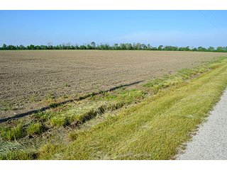 Property photo 61 - LAND AUCTION - 215+/- ACRES OFFERED IN 6 TRACTS IN VAN WERT COUNTY, OHIO